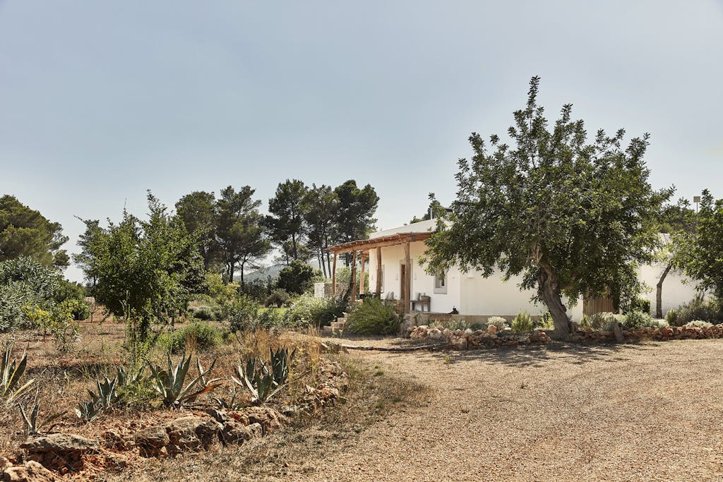 uhøjtidelig oase på ibiza
