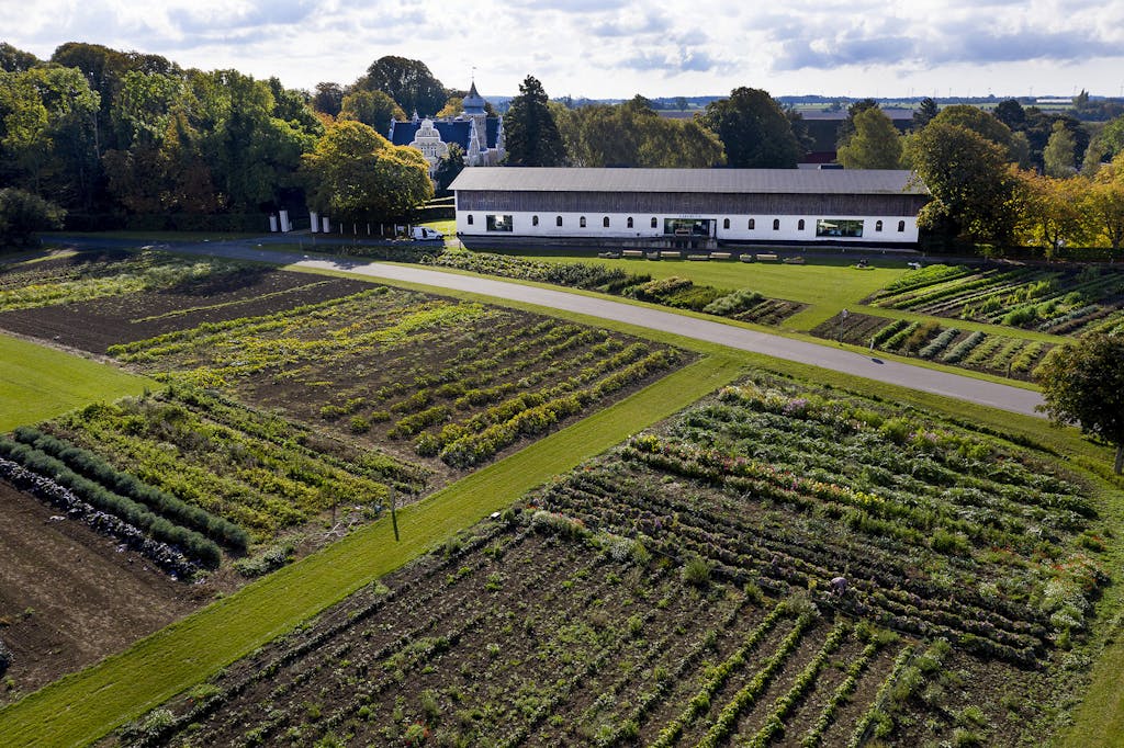 Søllestedgaard. Den grønne verden