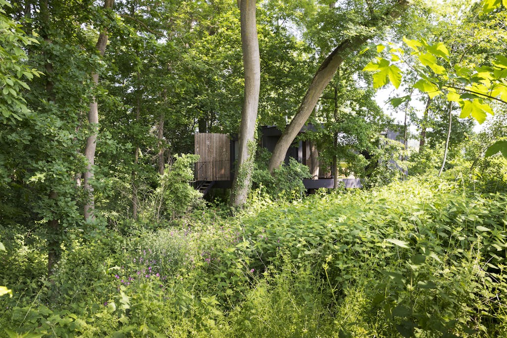 Bast vakantiehuis Belgie