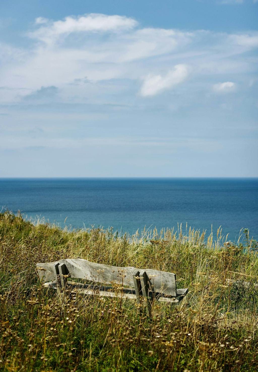 Bænk med udsigt ved Vejby Strand