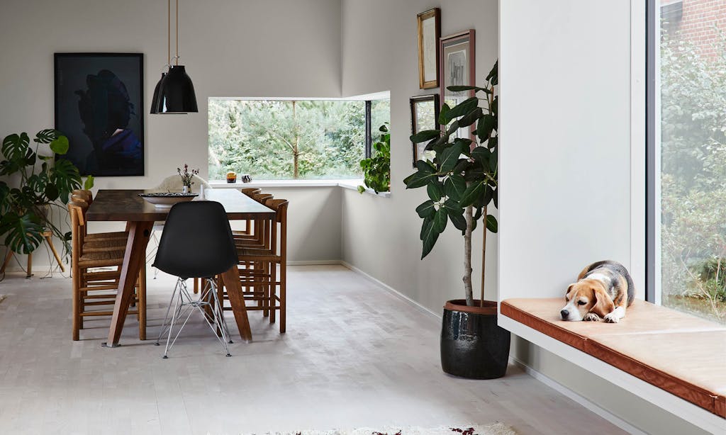 Gids voor een beter binnenklimaat