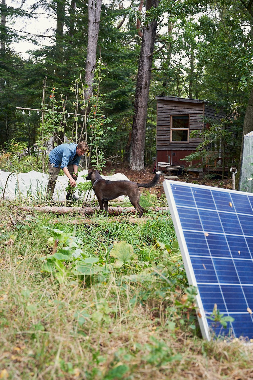 Solceller-tinyhouse Anders og hunden Borsi i køkkenhaven