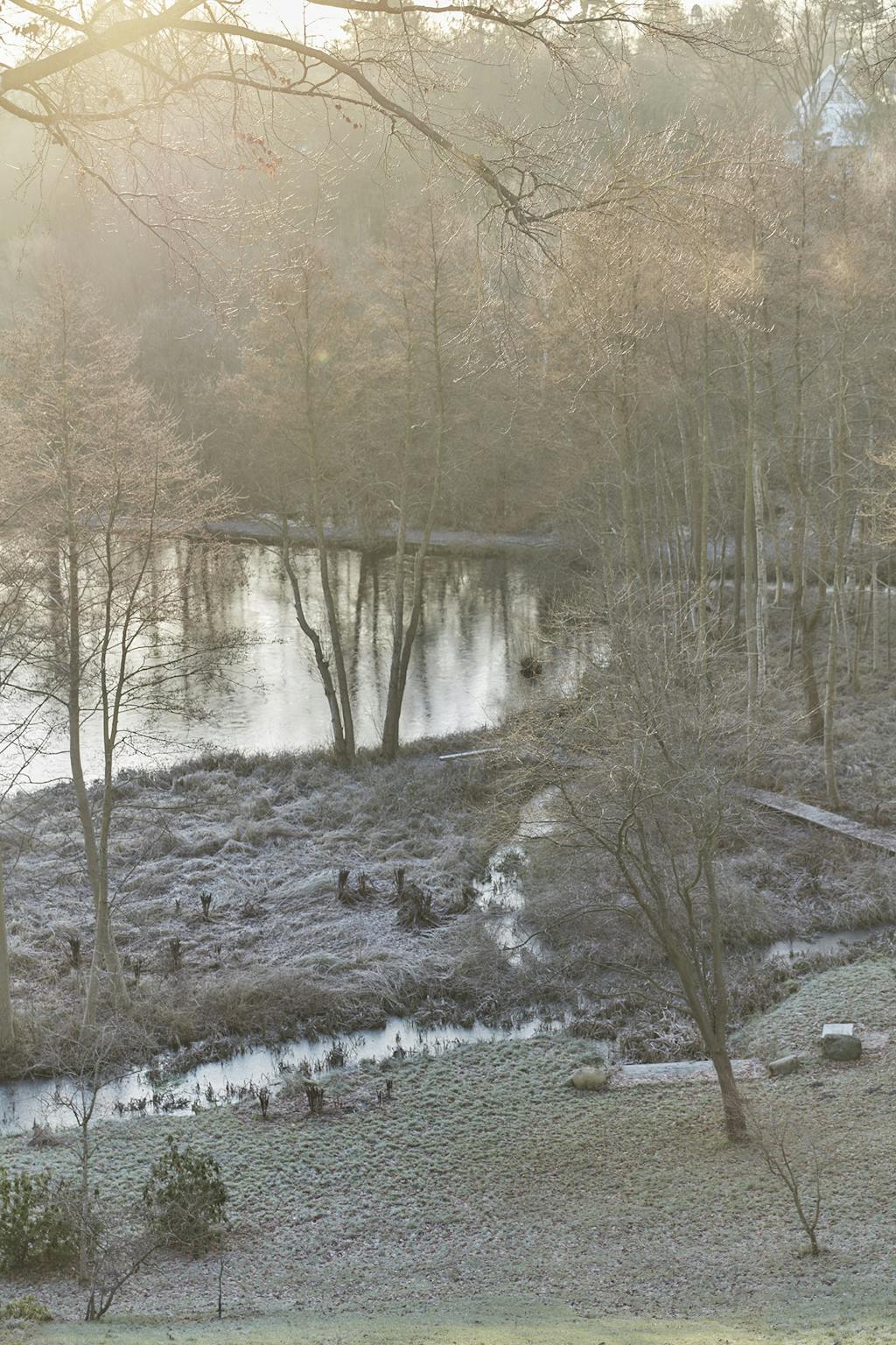 Henriette Bach bolig