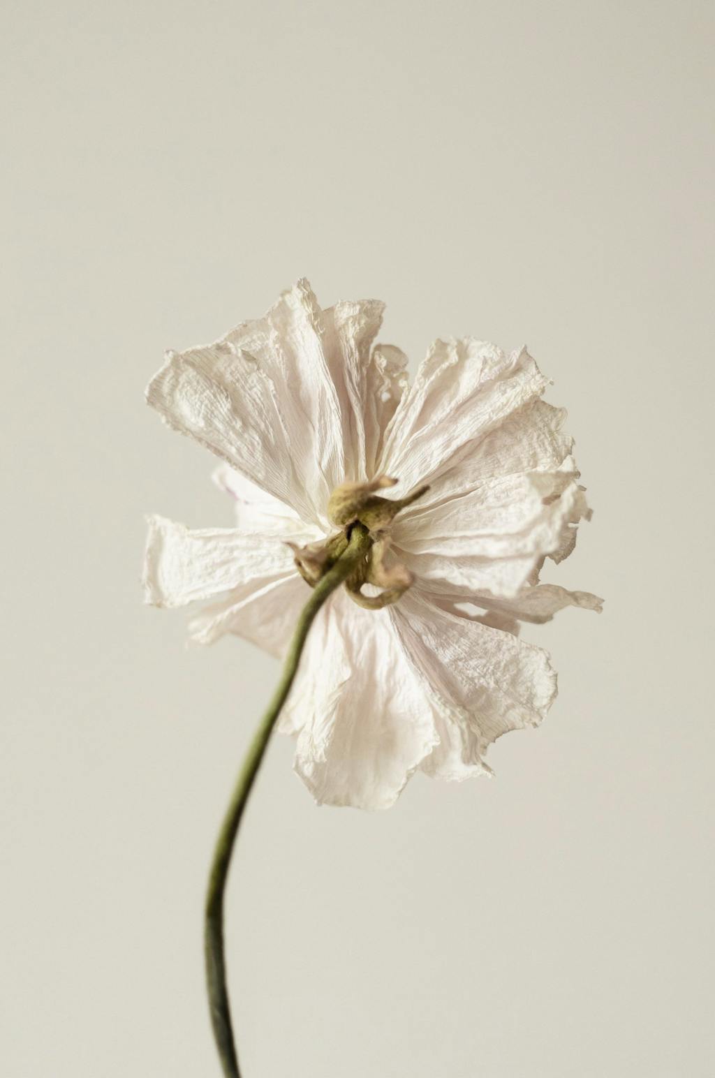 Marieke Verdenius art print