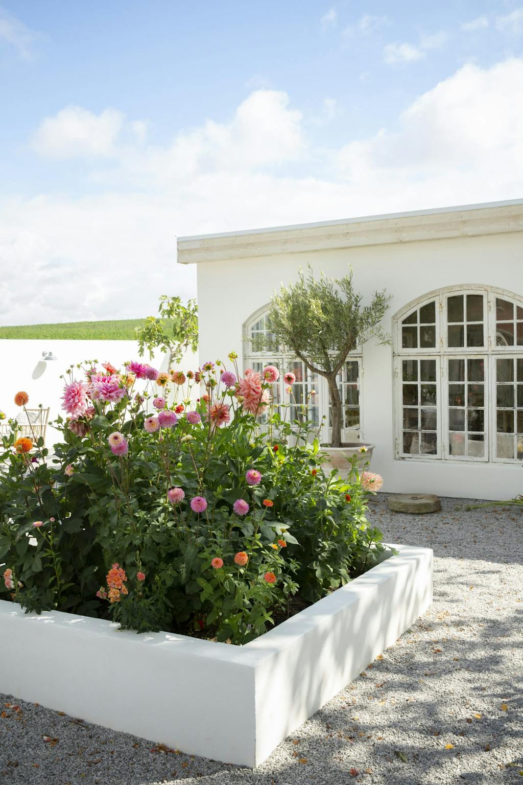 Dahliafarem i Österlen