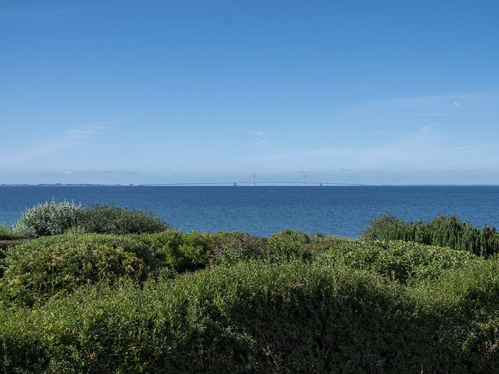 Drøsselbjerg Klint Drøsselbjerg Klint