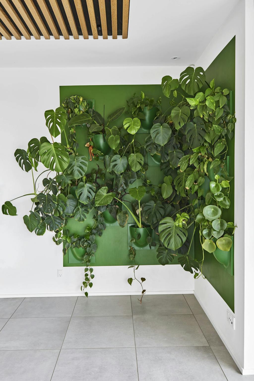 Plantevaeg Plantevæg