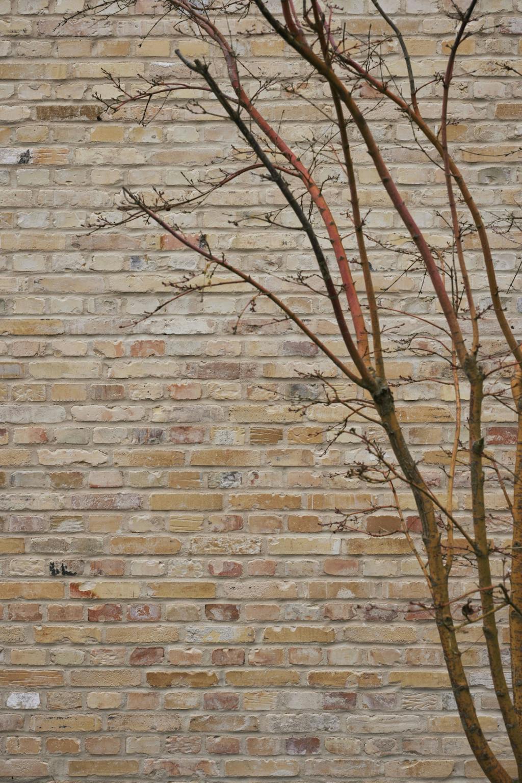 Green Impact Director Green Impact Director