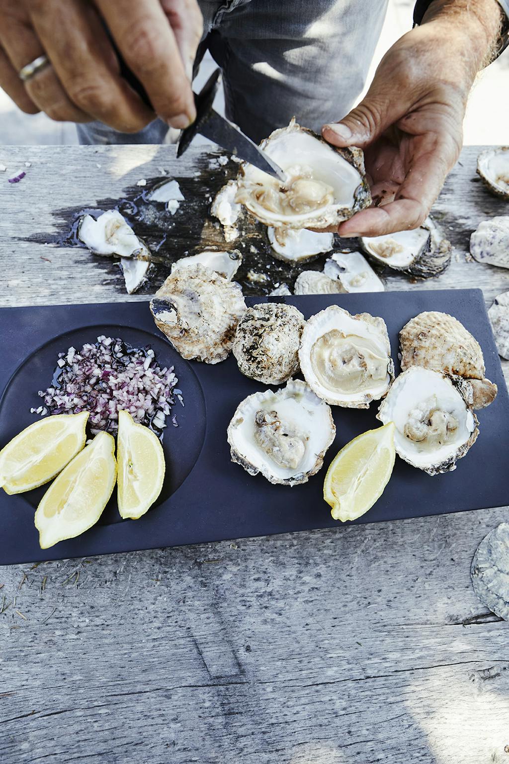 østers plukket direkte fra havbunden østers plukket direkte fra havbunden