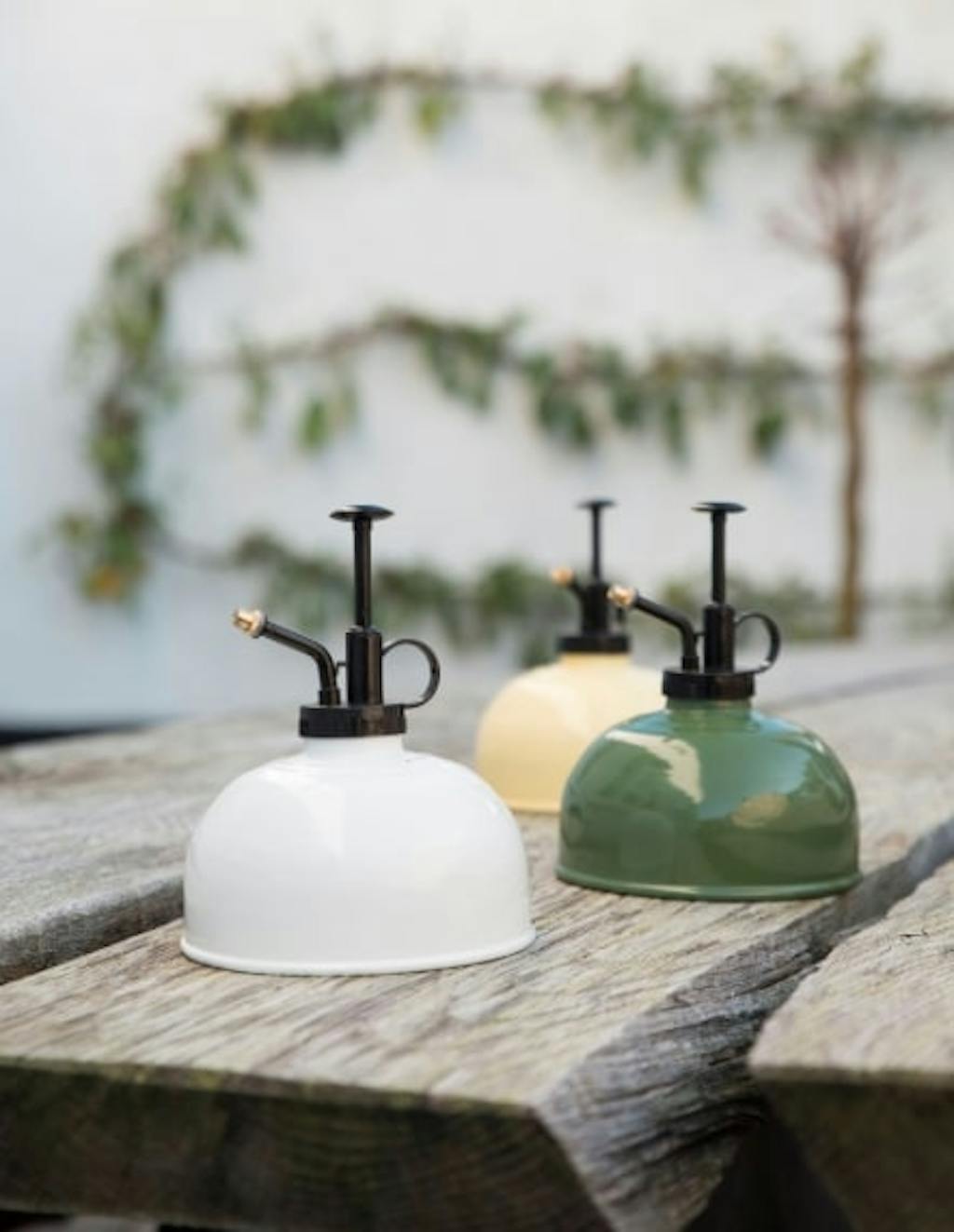 bekæmpelse af sorte fluer (sørgemyg) med sæbe