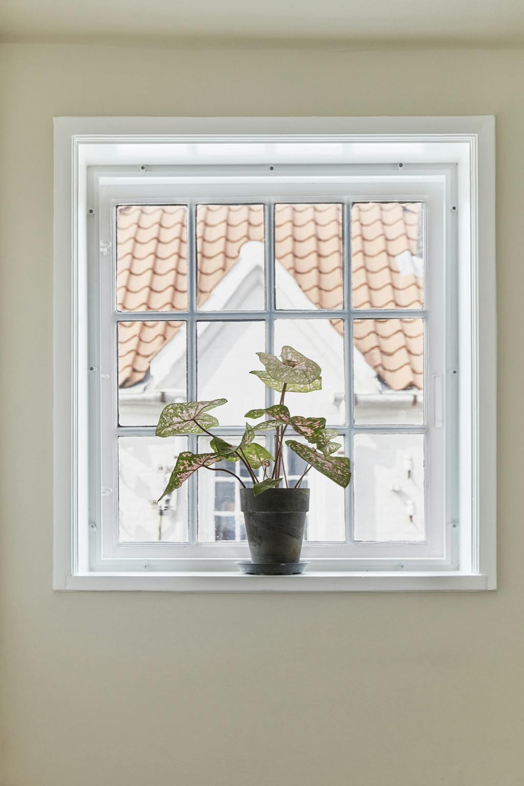 et lille vindue på førstesalen