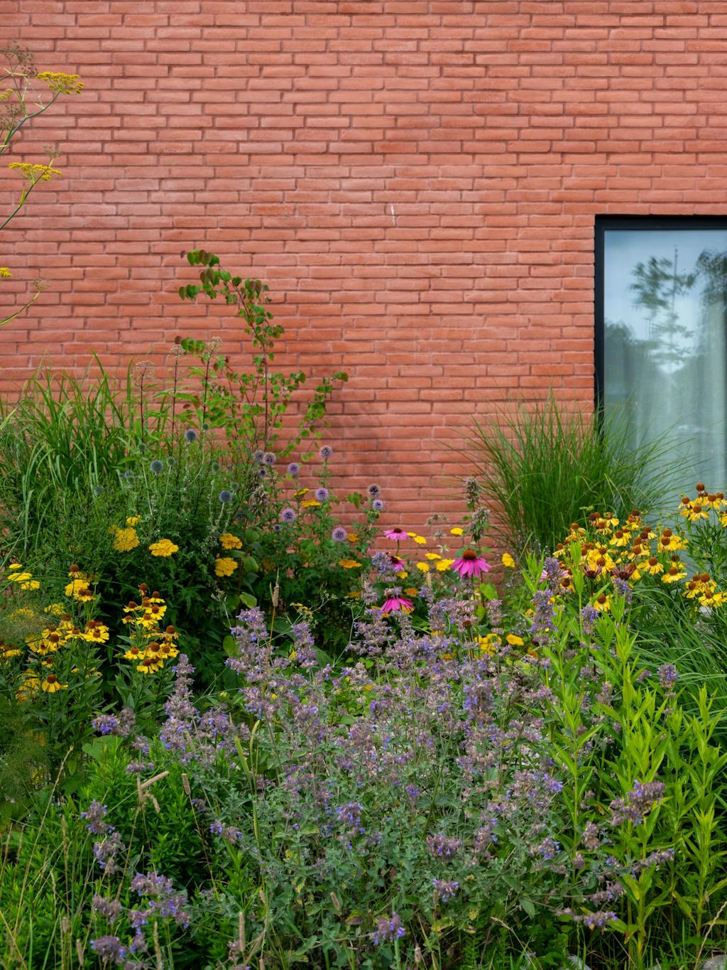 Terakottafarvet hus i mursten