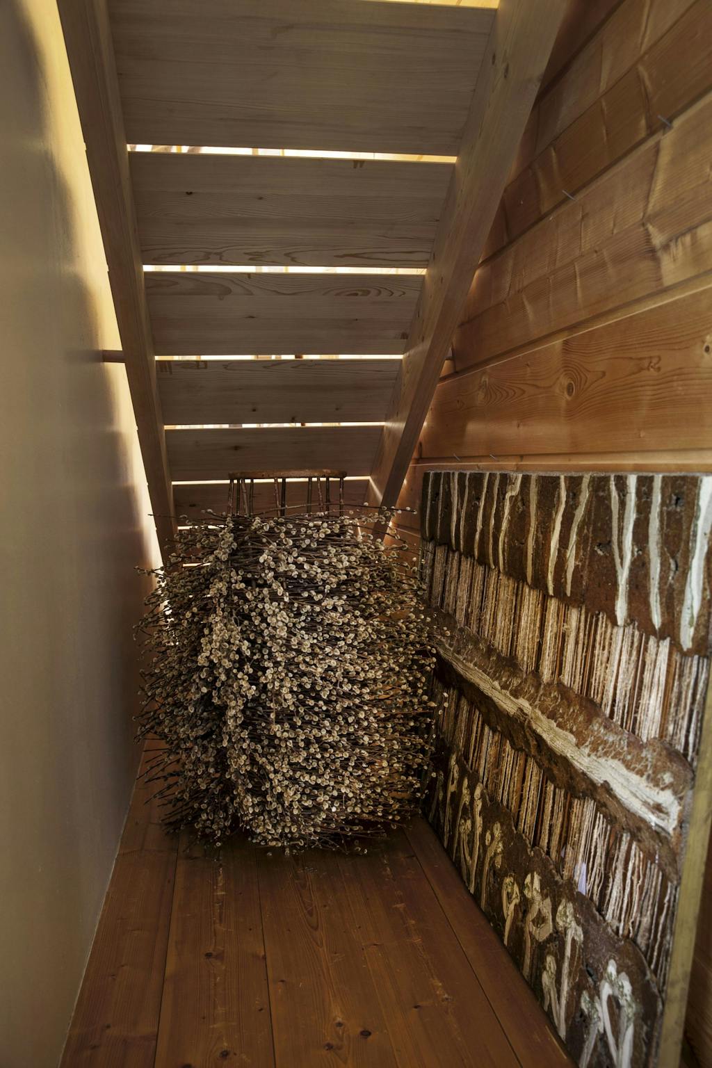 Fotograf Sif Meinckewww.sifmeincke.dk