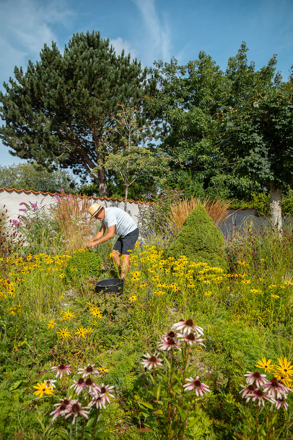 Sommerlig have inspiration