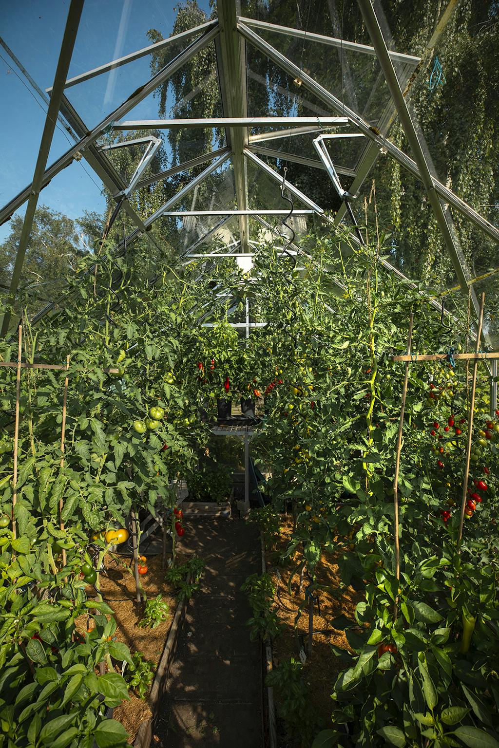 Drivhus inspiration til haven