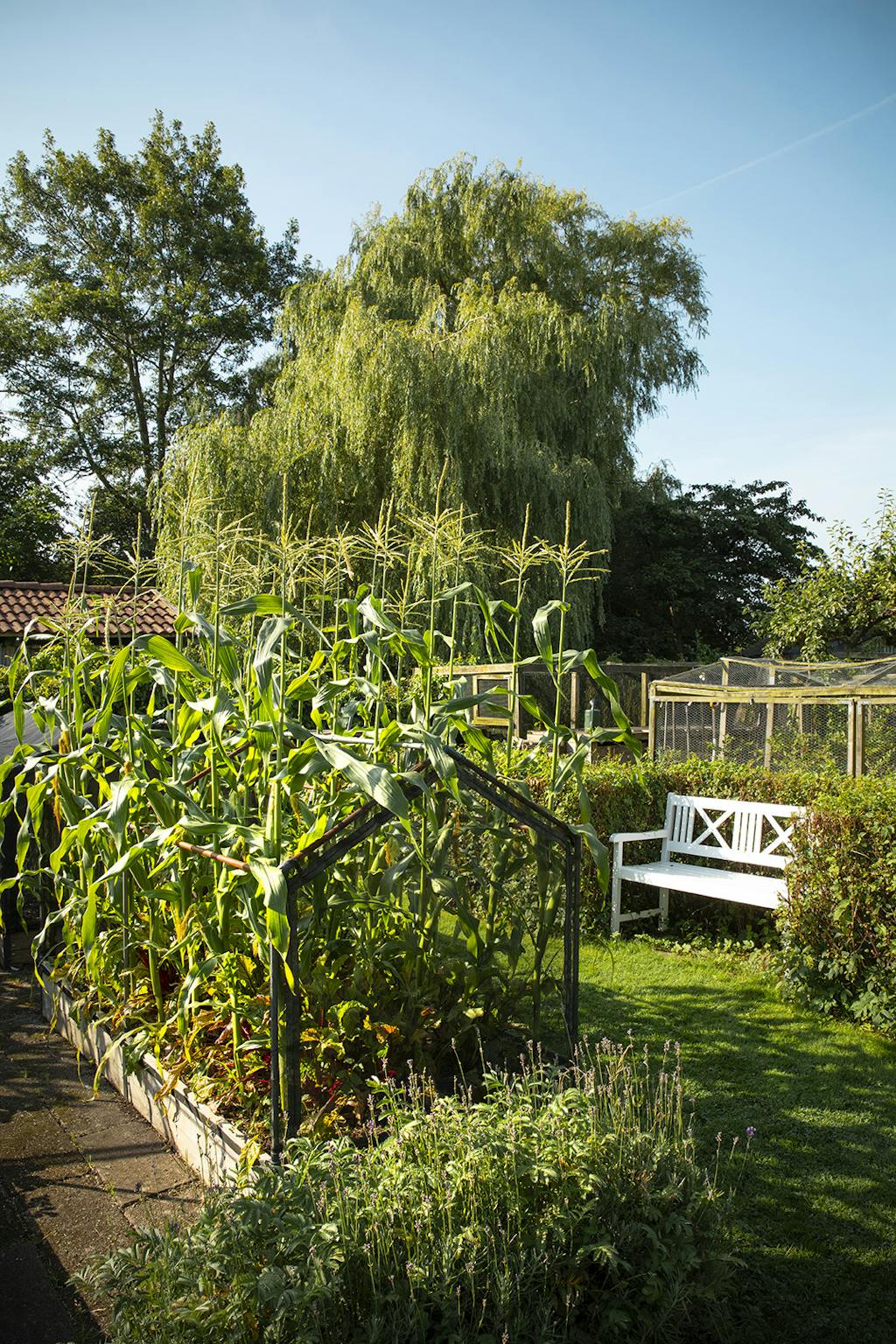 Inspiration til haven