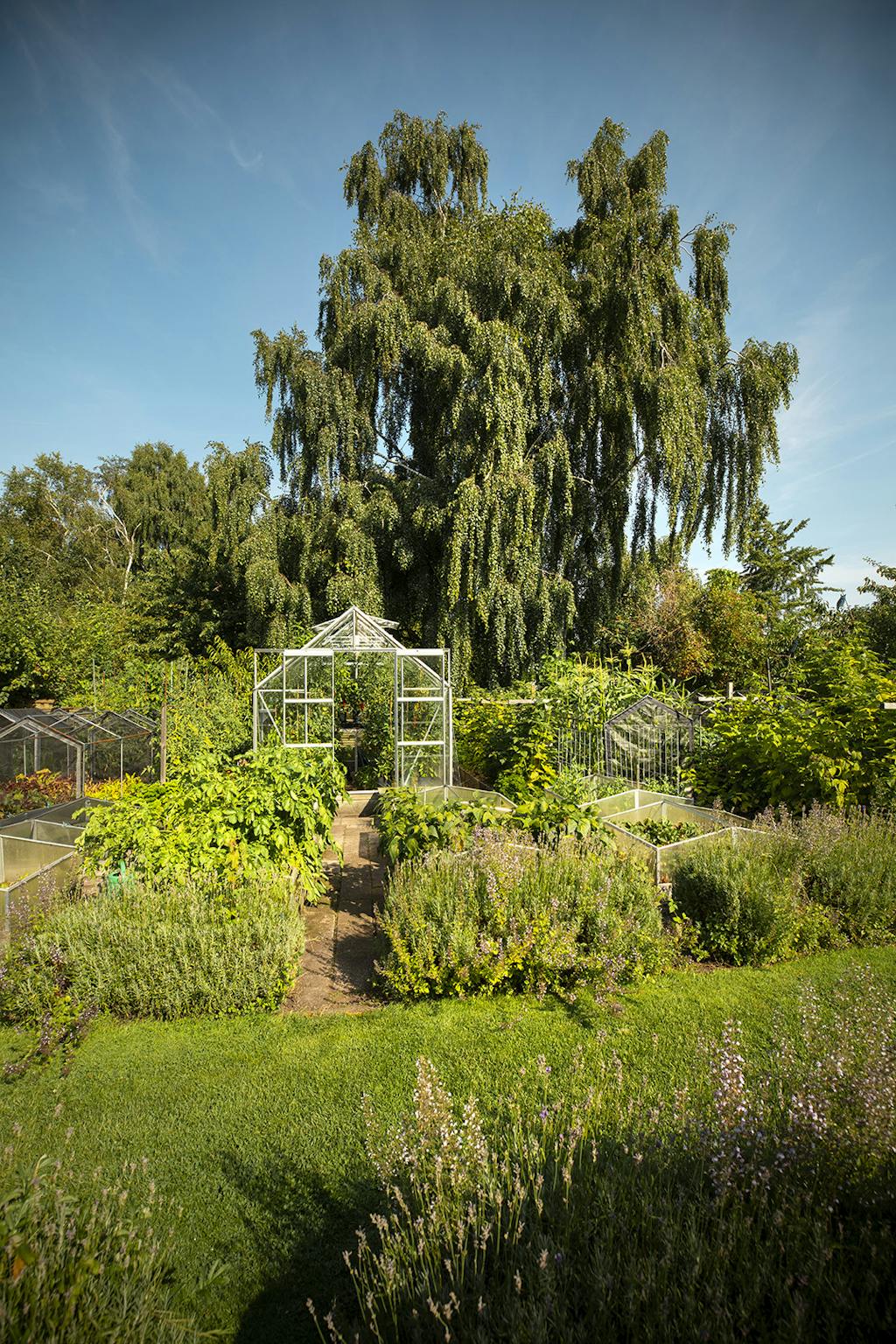 Drivhus inspiration til haven