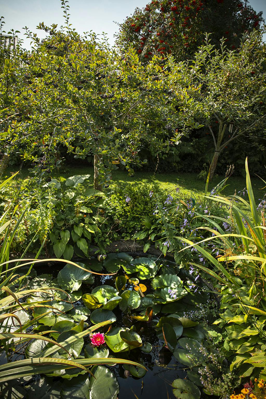 Inspiration til haven