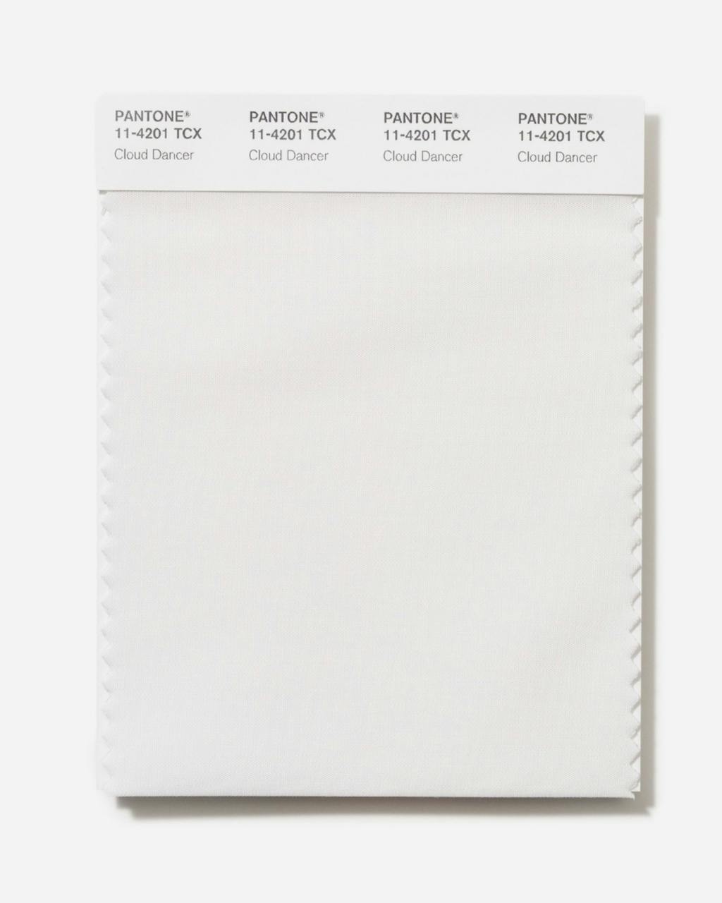 Årets farve 2026: Cloud Dancer