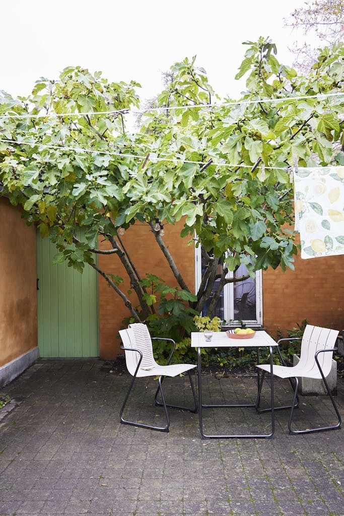 Sjarmerende bakgård