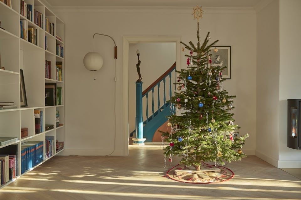 Juletreetsstjerne