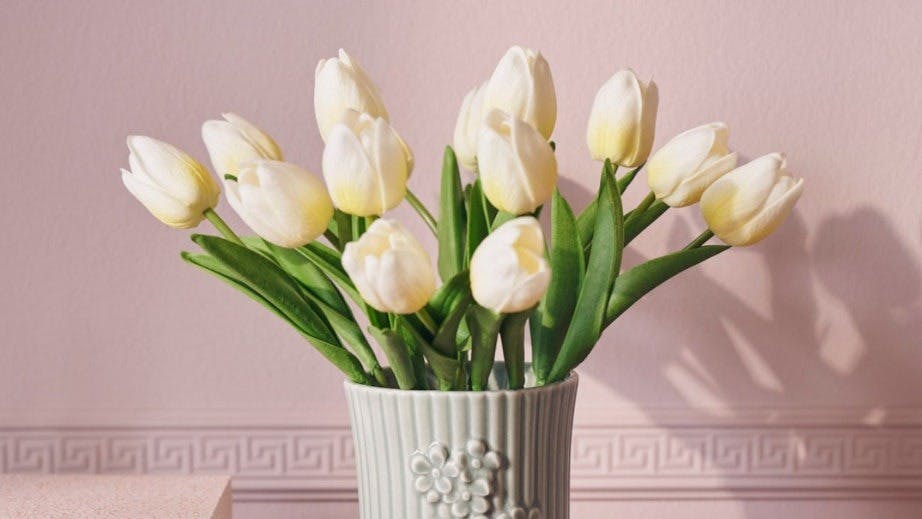 Søstrene grene tulipaner