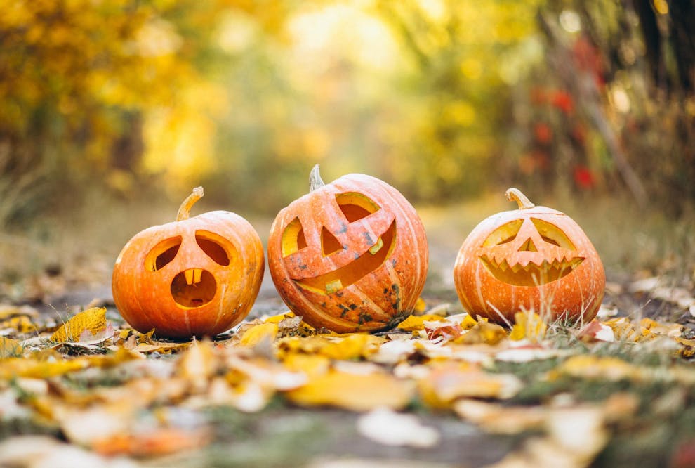 Græskarudskæringer