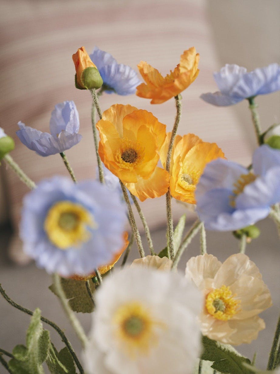 Valmuer søstrene grene Valmuer søstrene grene