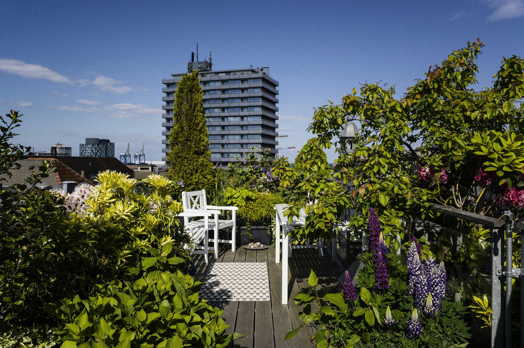 Tips til krukker på balkongen