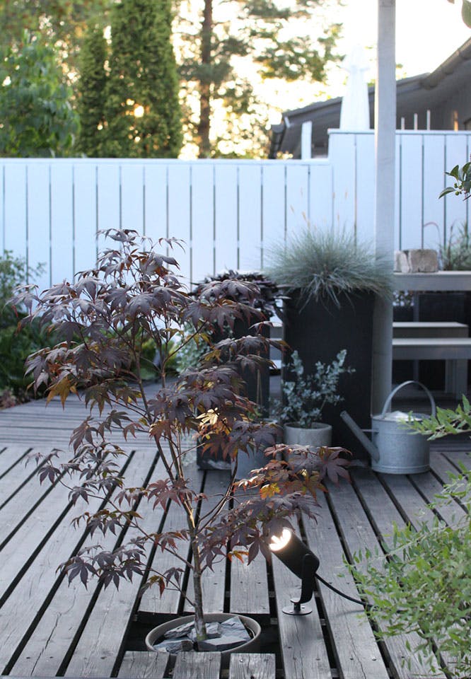 boligpluss signify tekst2 lGnxgMI1zW97