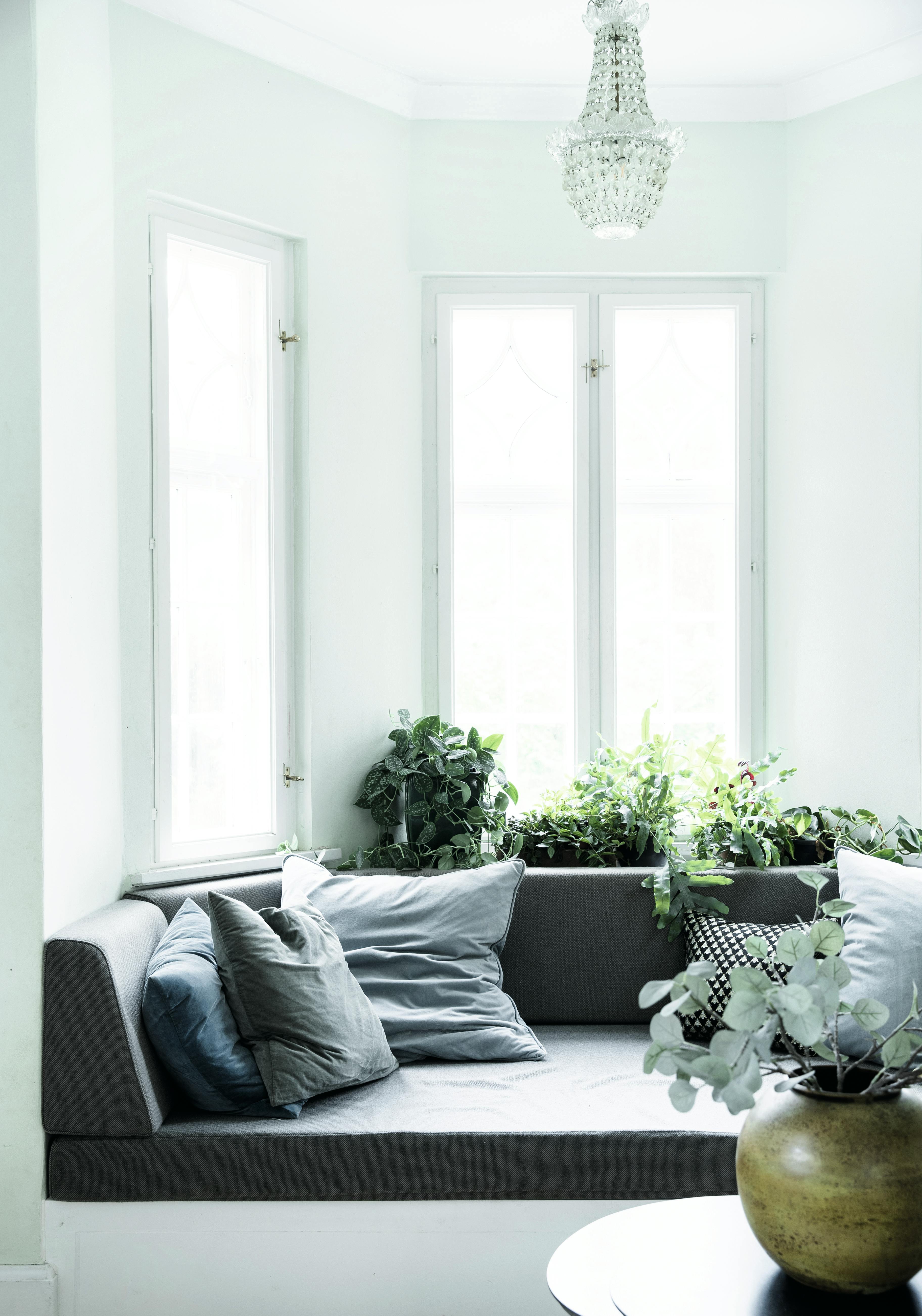 karnapp med puter og grønne planter