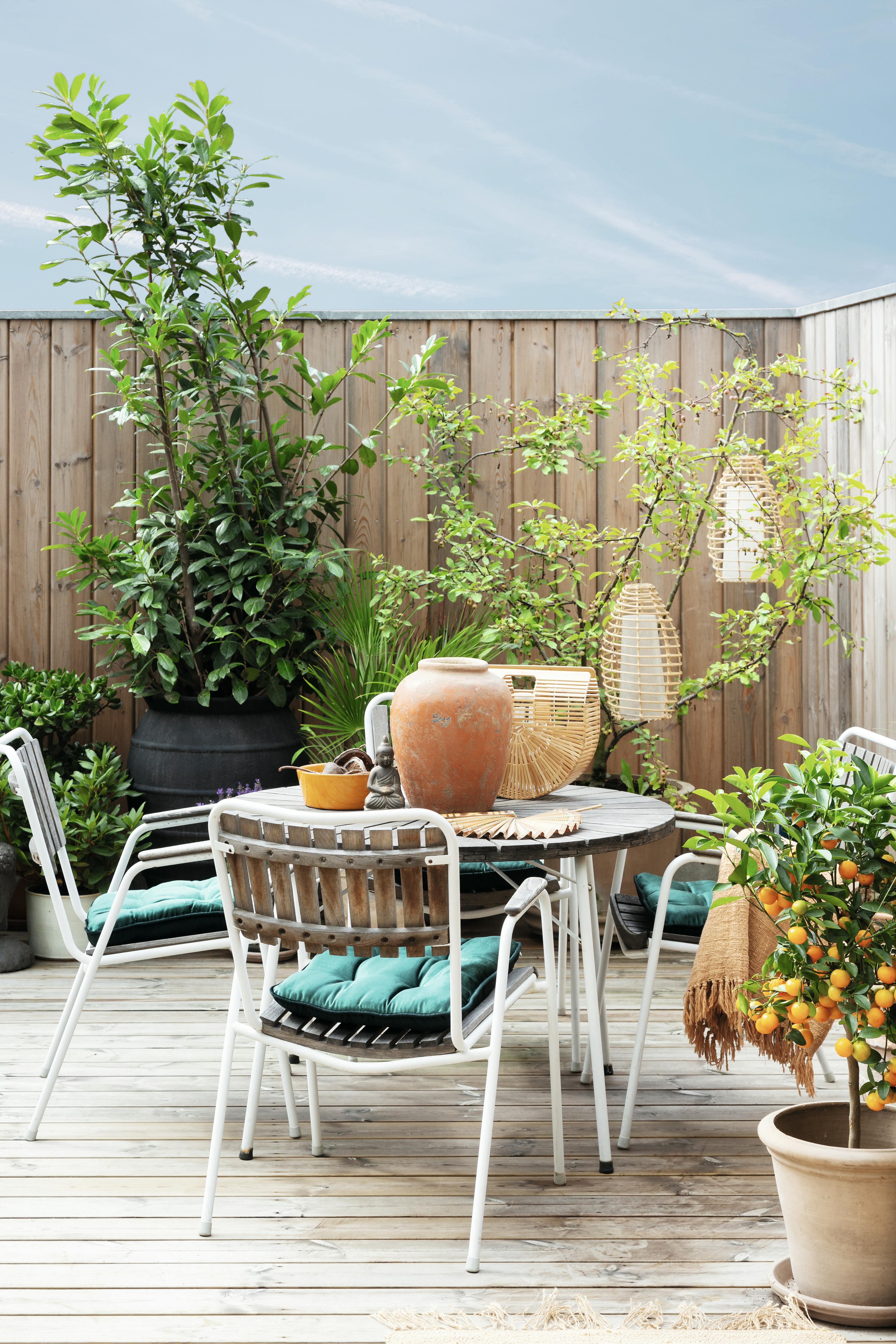 forvandlet storbyhagen sin til en eksklusiv frodig oase 