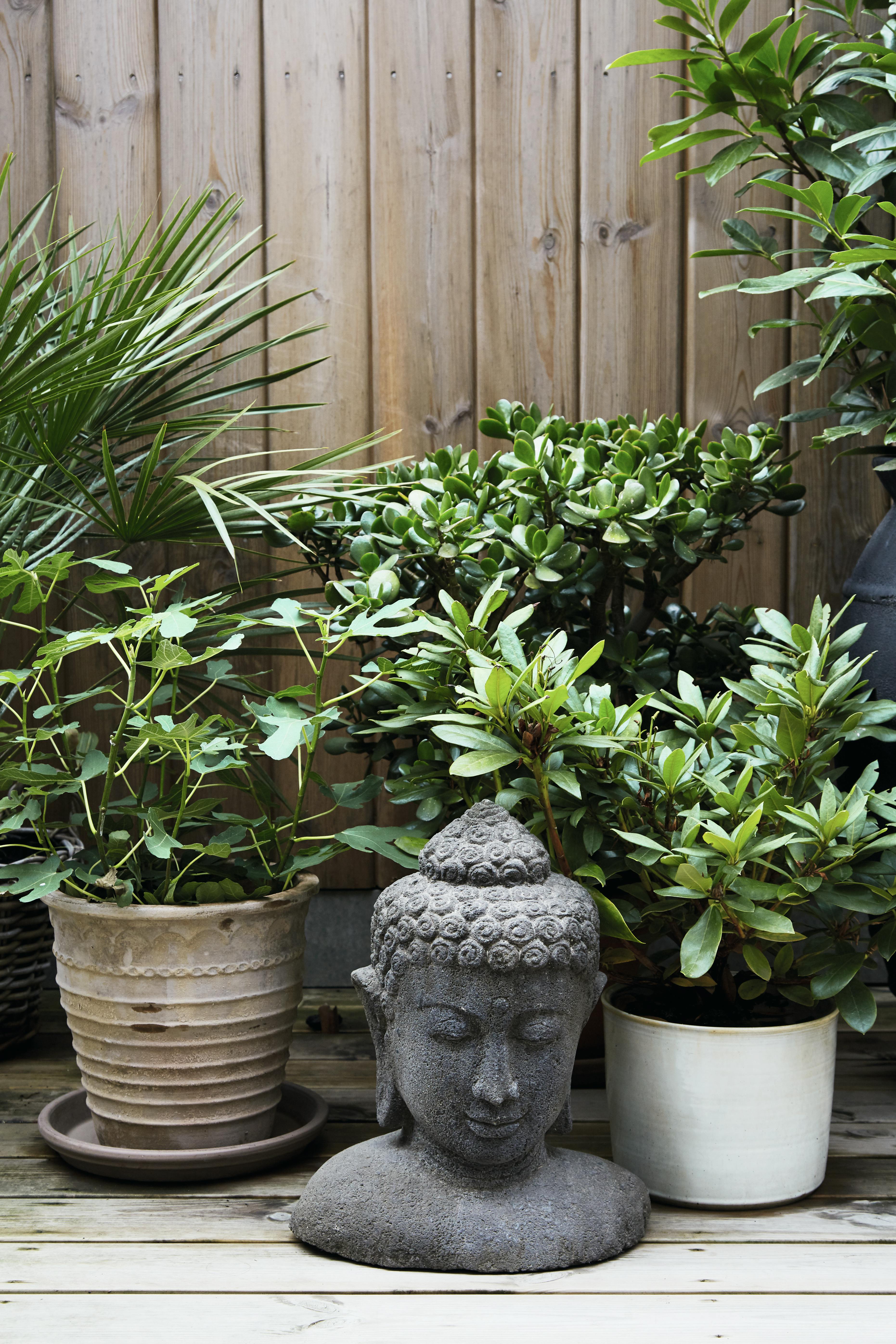 forvandlet storbyhagen sin til en eksklusiv frodig oase 