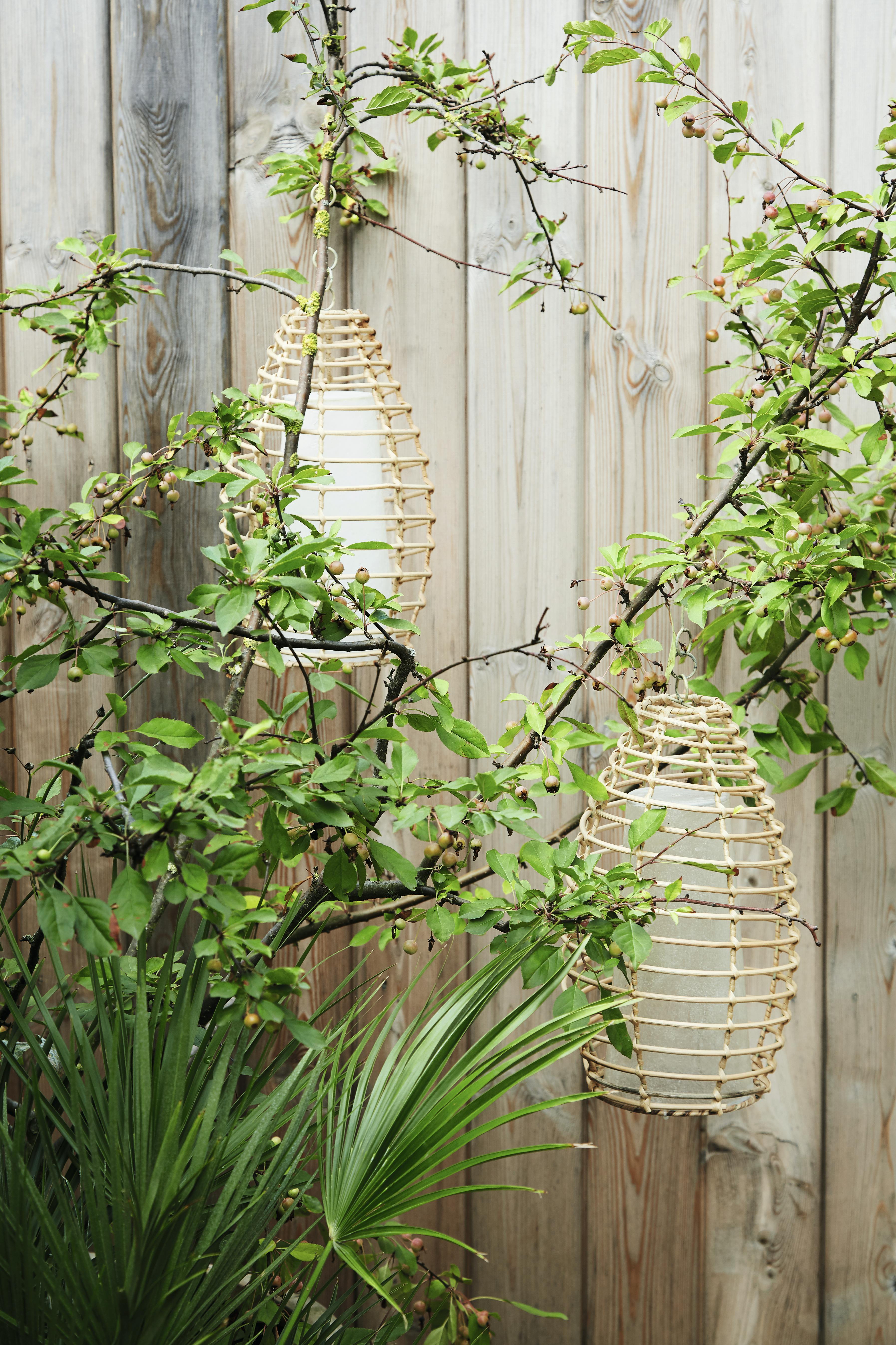 forvandlet storbyhagen sin til en eksklusiv frodig oase 