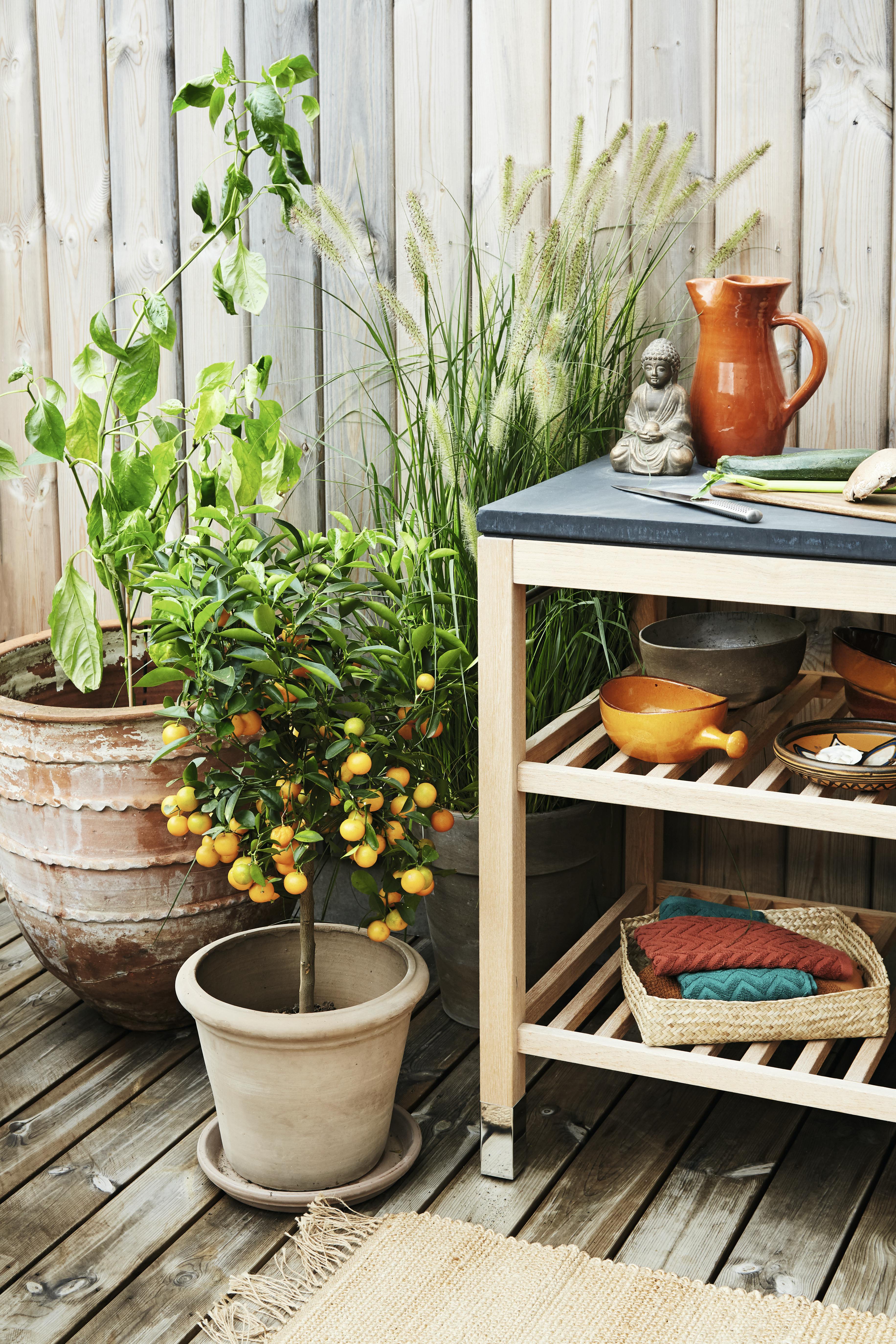 forvandlet storbyhagen sin til en eksklusiv frodig oase 