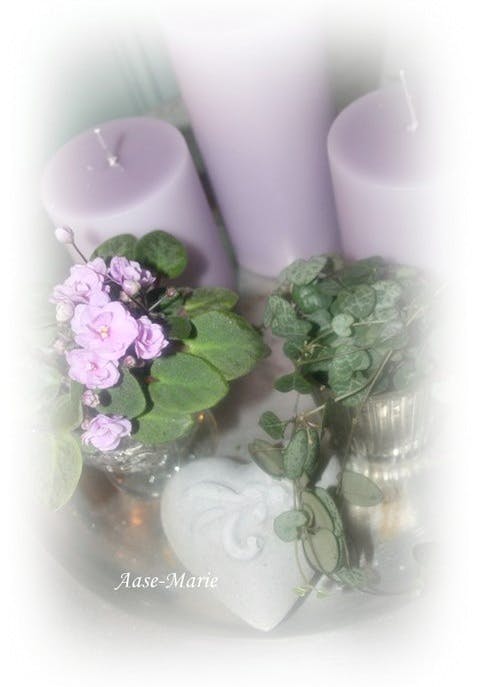 Lilla og sink Lilla og sink