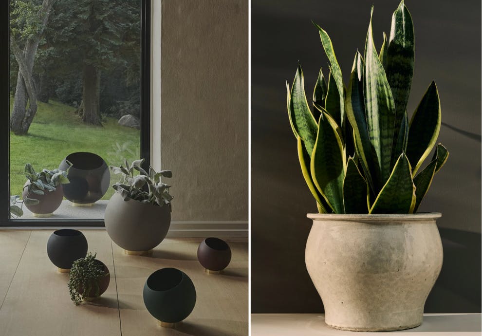 blomsterkrukke inne og ute