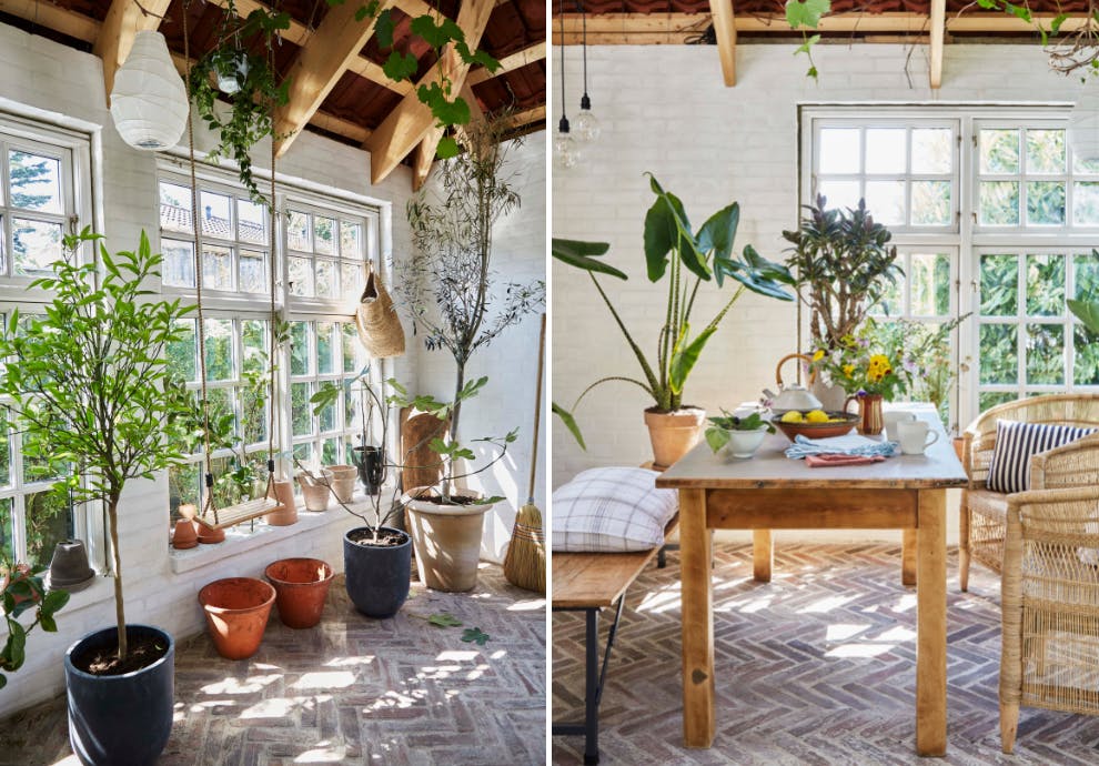 oransjeri vs drivhus