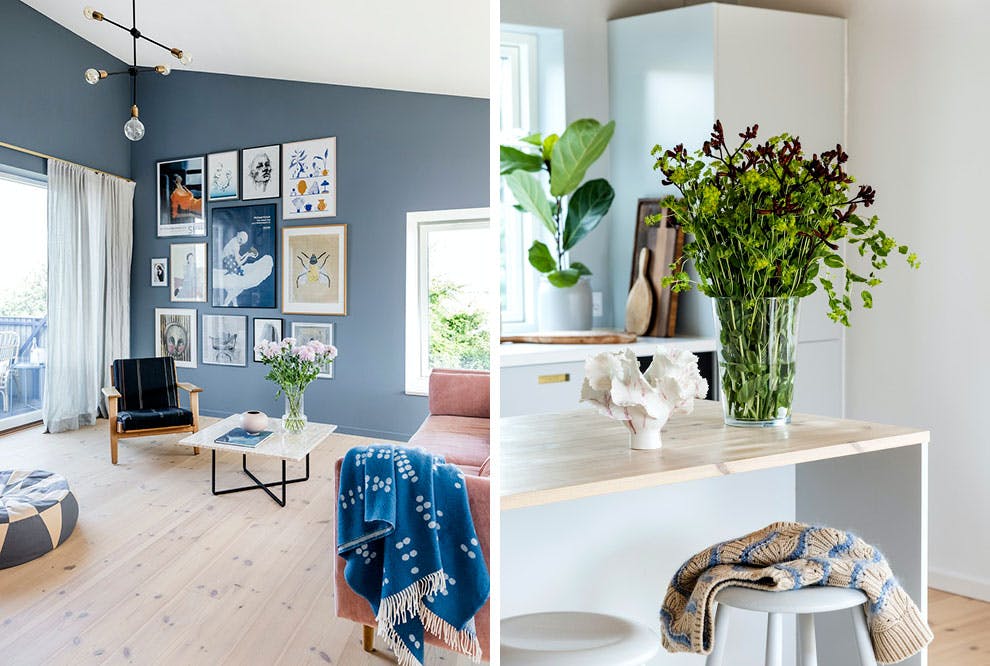 Fyrretræ blå facade