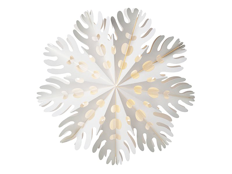 Let it snow! Let it snow!