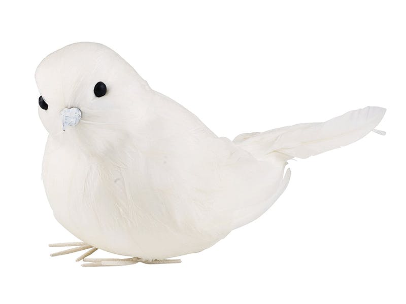 Pen pip-pip  Pen pip-pip