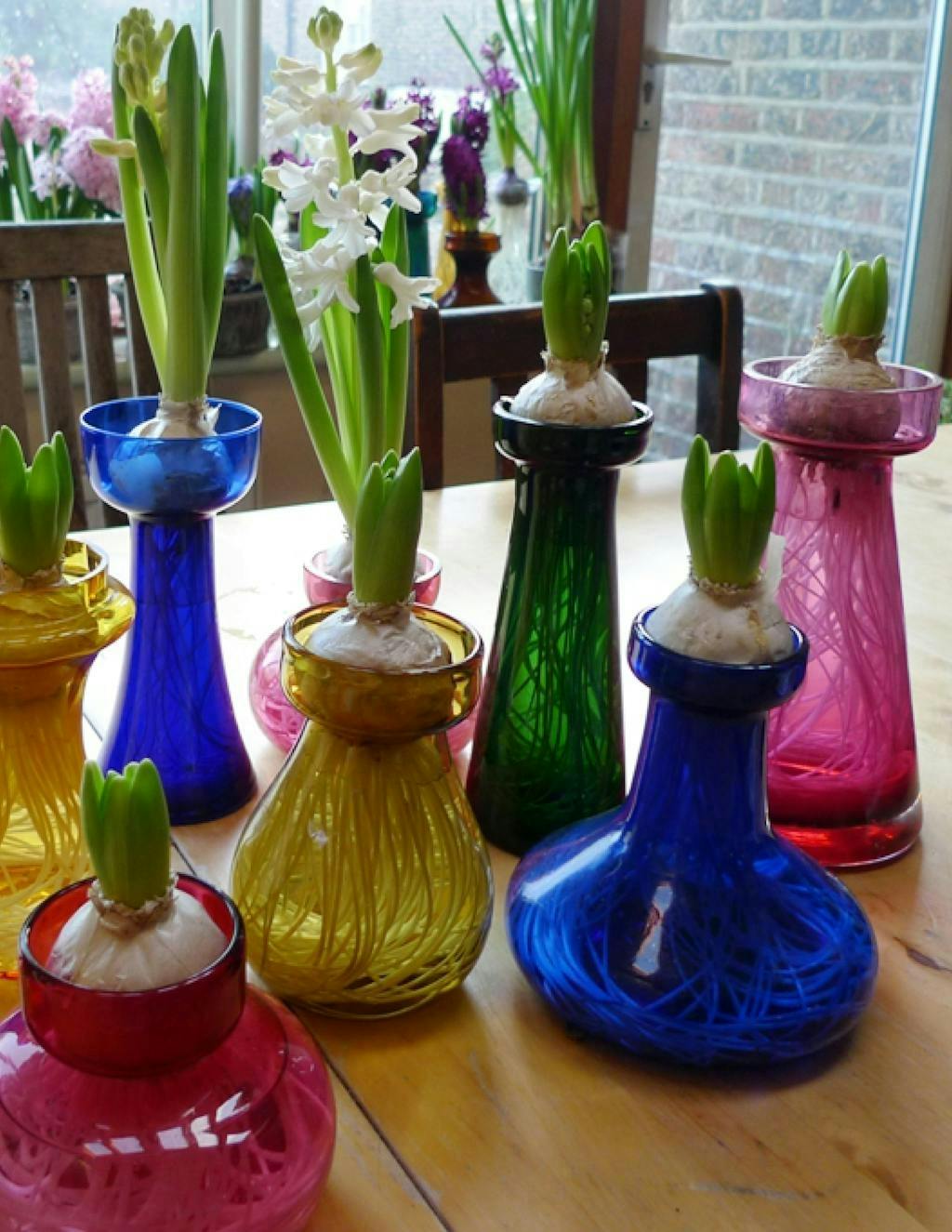 farget glass med røtter i vannet