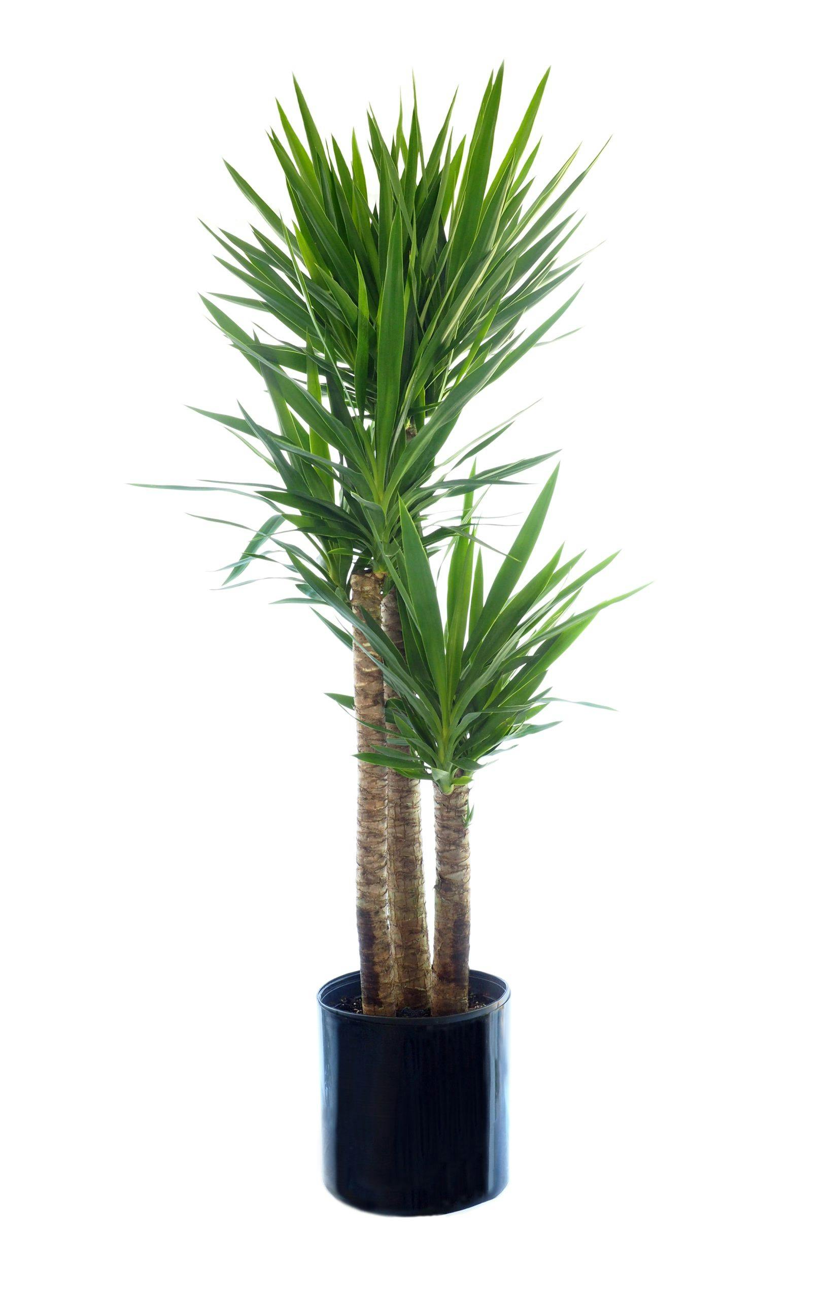 gettyimages 627038544