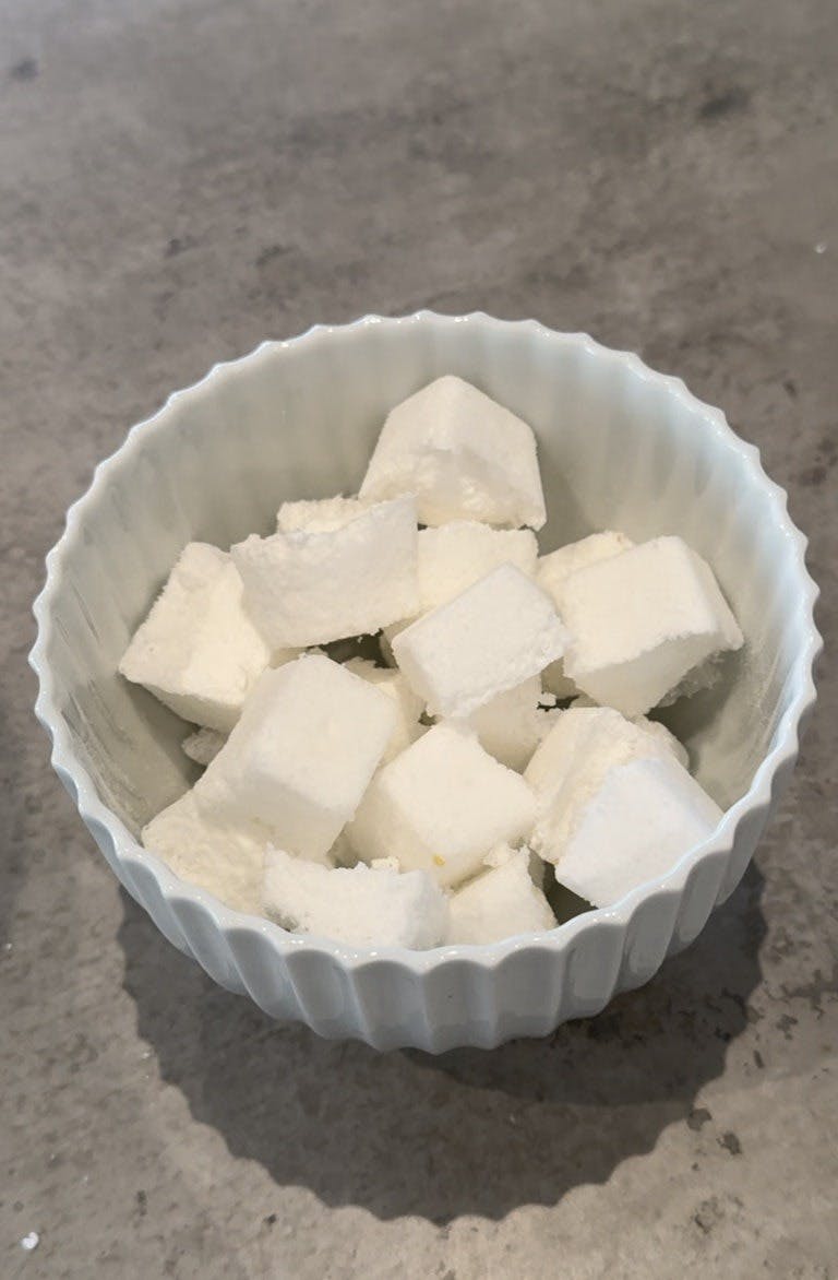 hjemmelagde-rengjøringsbrikker