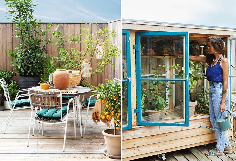 forvandlet storbyhagen sin til en eksklusiv frodig oase 