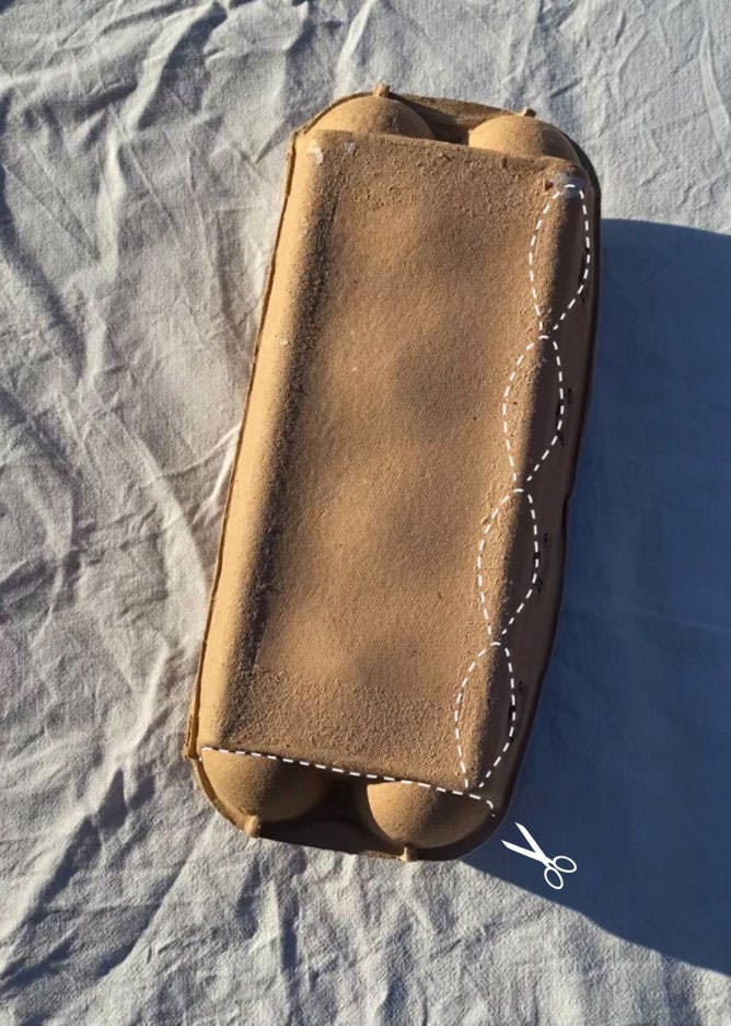 Blomster av eggekartong