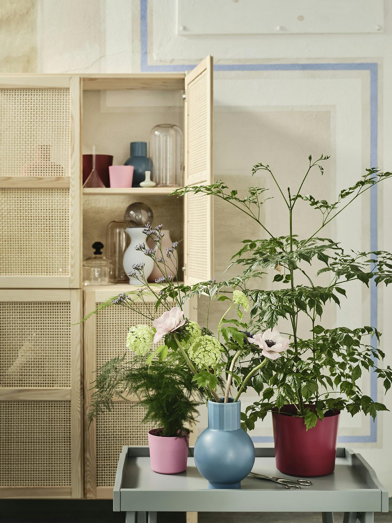 Ikea rottingsskap nyhet