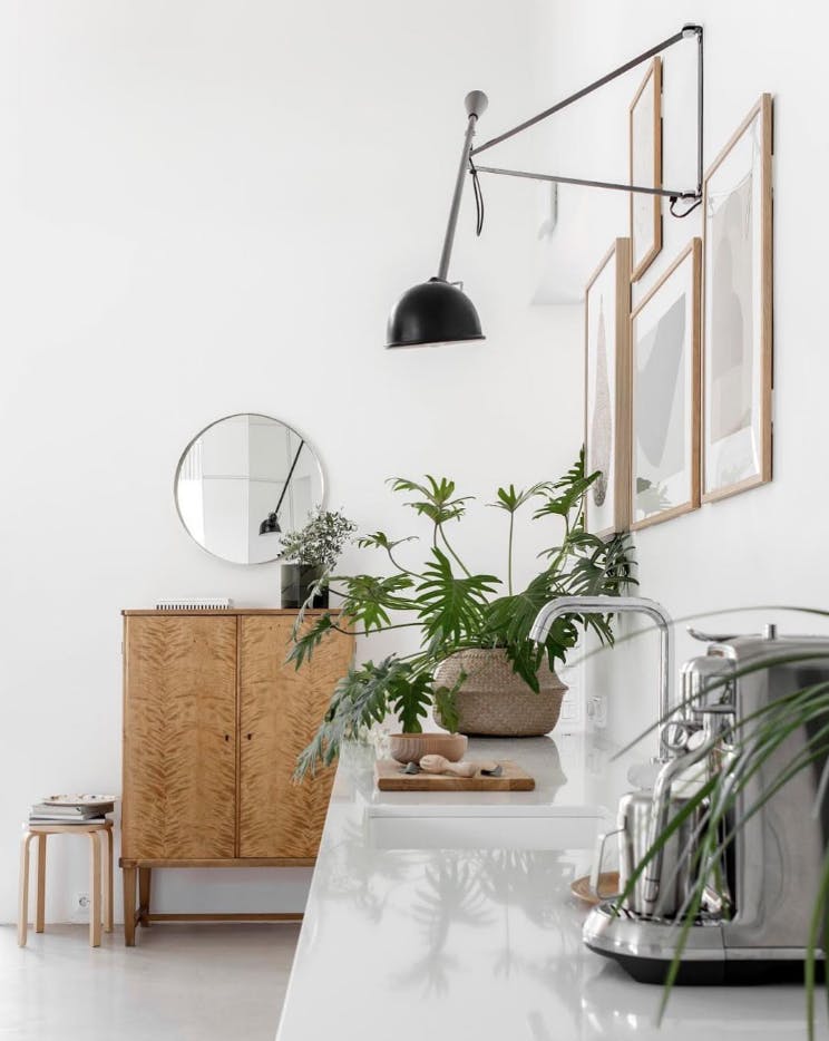 Nytt kjøkken med grønne planter