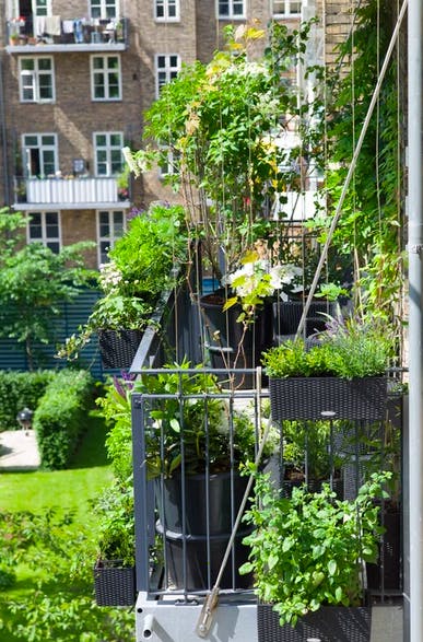 Krukker på balkongen