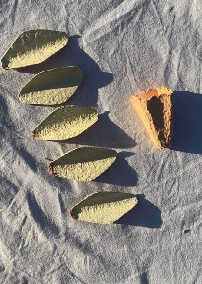 Blomster av eggekartong